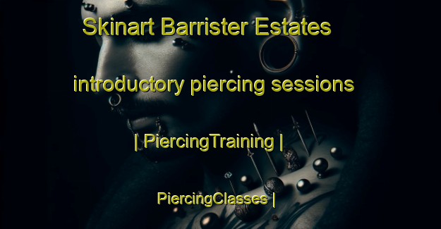 Skinart Barrister Estates introductory piercing sessions | PiercingTraining | PiercingClasses | SkinartTraining-United States